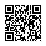 QR CODE 956