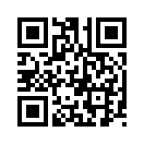 QR CODE 133