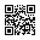 QR CODE 316
