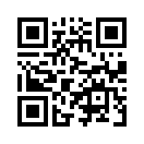 QR CODE 317