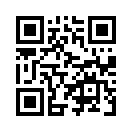 QR CODE 344