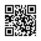 QR CODE 53
