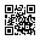 QR CODE 329