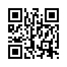 QR CODE 494