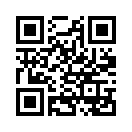 QR CODE 529