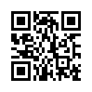 QR CODE 538