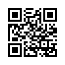 QR CODE 737