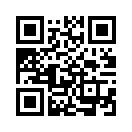 QR CODE 110