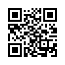 QR CODE 219