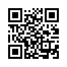 QR CODE 229