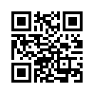QR CODE 31