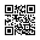 QR CODE 53