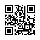 QR CODE 133