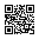 QR CODE 31