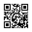 QR CODE 53
