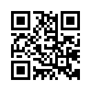 QR CODE 133