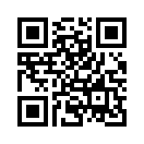QR CODE 195