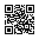 QR CODE 2393