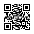 QR CODE 2993