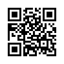 QR CODE 305