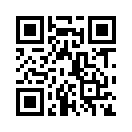 QR CODE 3133