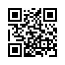 QR CODE 53