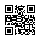 QR CODE 133