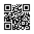 QR CODE 133
