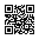 QR CODE 47