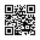 QR CODE 133