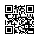QR CODE 53
