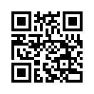 QR CODE 61