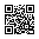 QR CODE 31