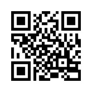 QR CODE 94