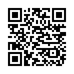QR CODE 217