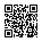 QR CODE 27