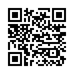 QR CODE 31