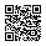 QR CODE 46