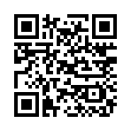 QR CODE 85
