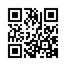 QR CODE 110