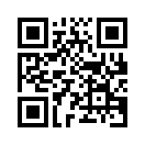 QR CODE 31