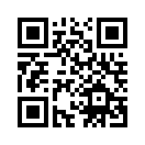 QR CODE 110