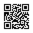 QR CODE 22