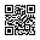 QR CODE 37