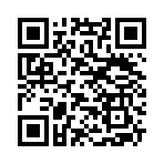 QR CODE 677