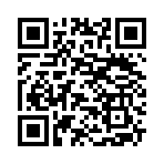 QR CODE 734