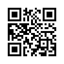 QR CODE 133