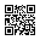 QR CODE 305