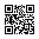 QR CODE 336