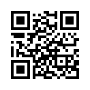 QR CODE 133